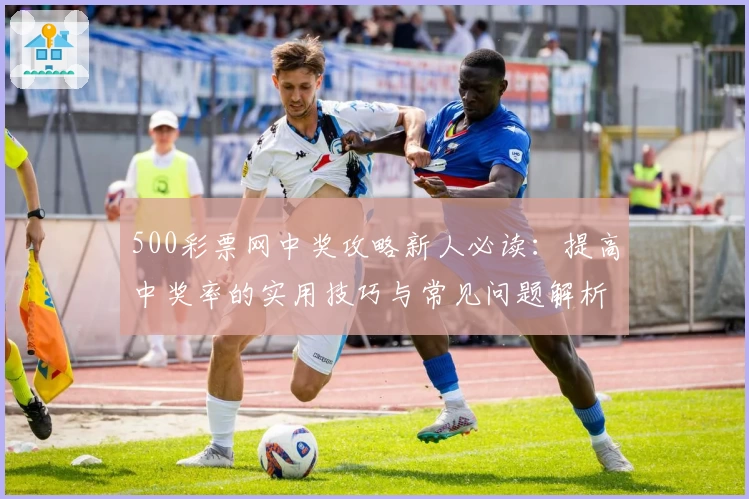 500彩票网中奖攻略新人必读：提高中奖率的实用技巧与常见问题解析