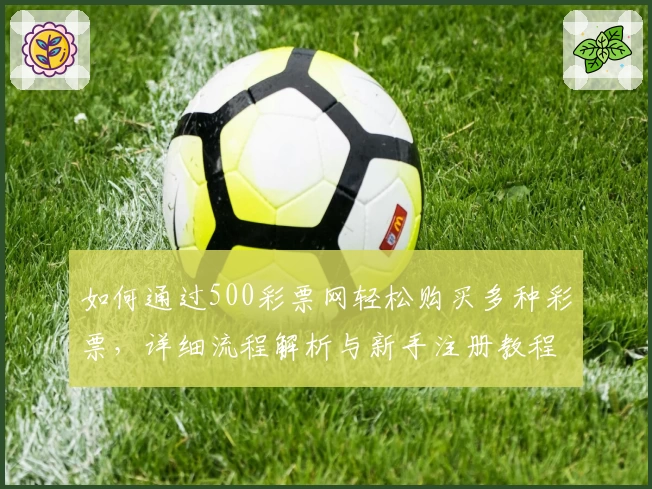 如何通过500彩票网轻松购买多种彩票,详细流程解析与新手注册教程