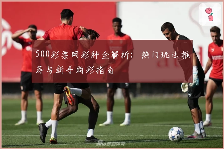 500彩票网彩种全解析：热门玩法推荐与新手购彩指南