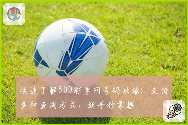 快速了解500彩票网号码功能:支持多种查询方式,新手秒掌握