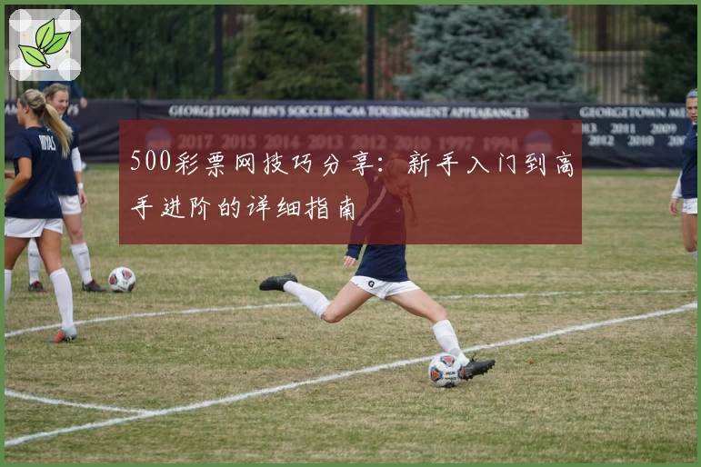 500彩票网技巧分享：新手入门到高手进阶的详细指南