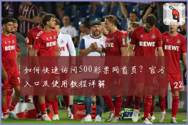 如何快速访问500彩票网首页？官方入口及使用教程详解