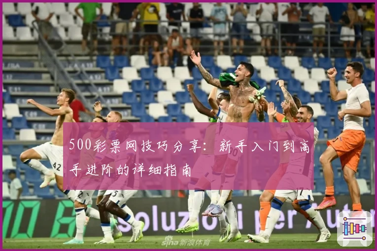 500彩票网技巧分享：新手入门到高手进阶的详细指南